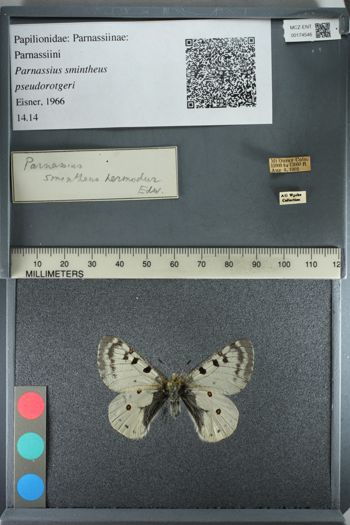 Media type: image;   Entomology 174546